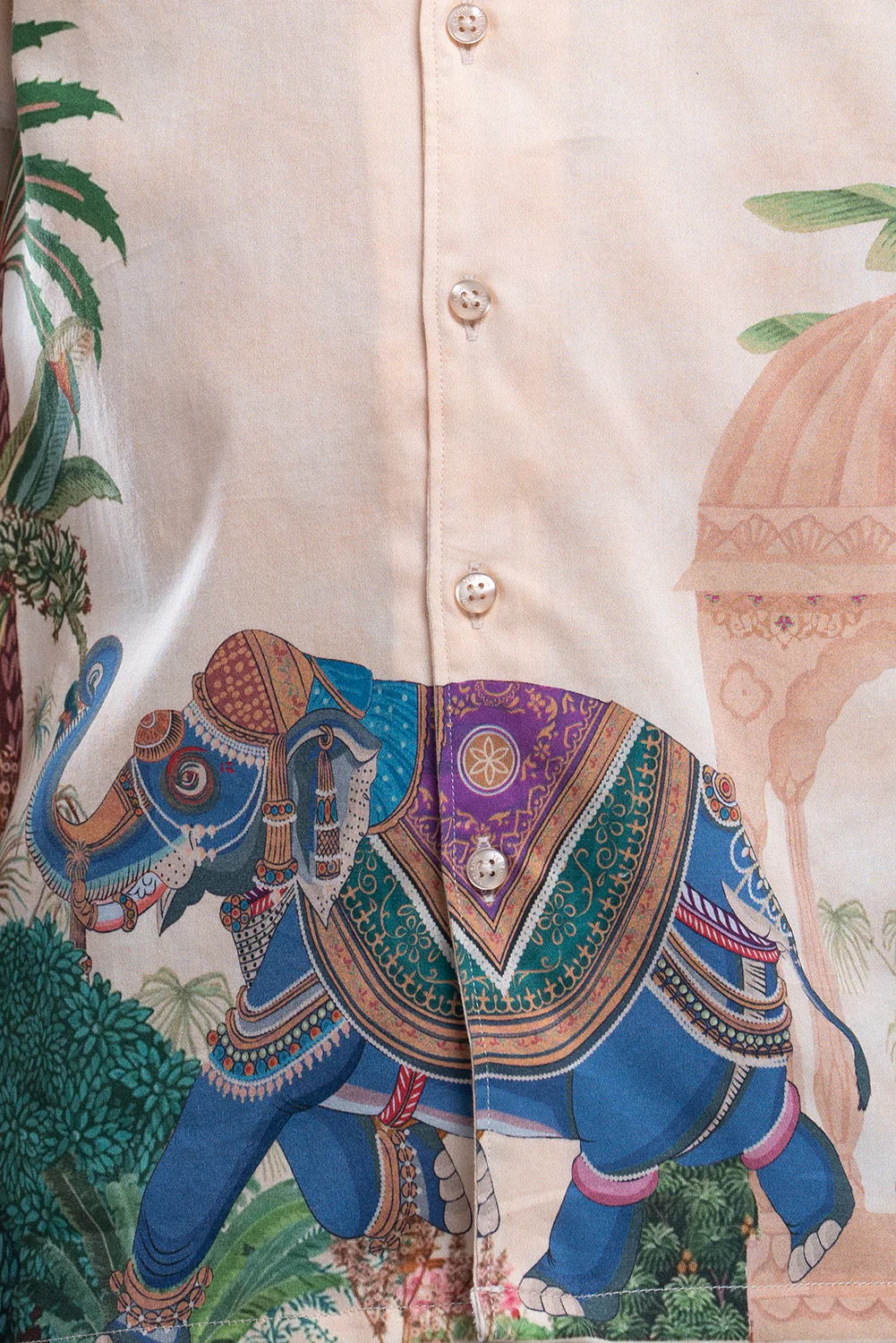 Prince Casual Shirt (6-8 Years) - Image 5