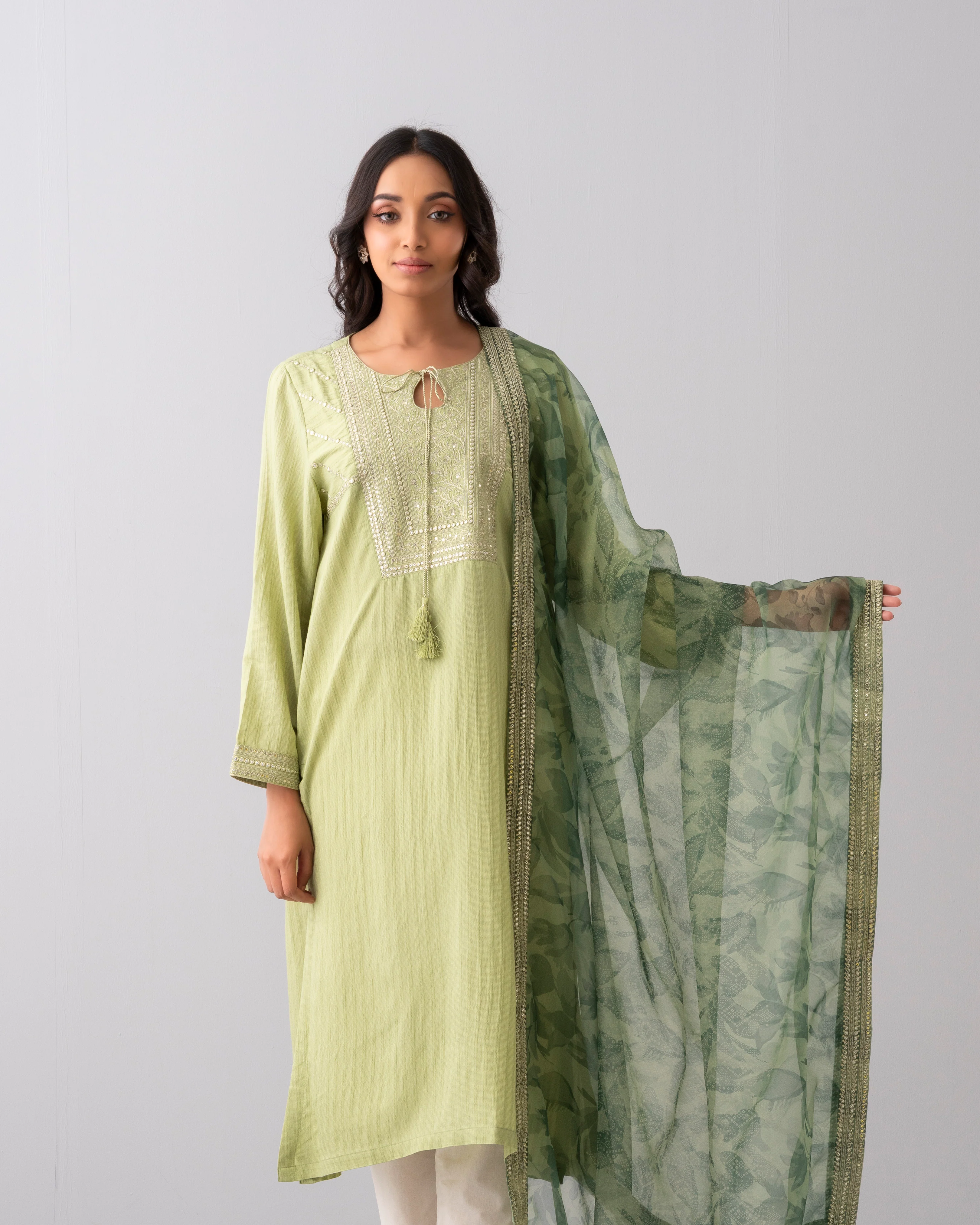 Smart Fit Embellished Two-Piece Formal Ethnic Set with Organza Dupatta - Image 20